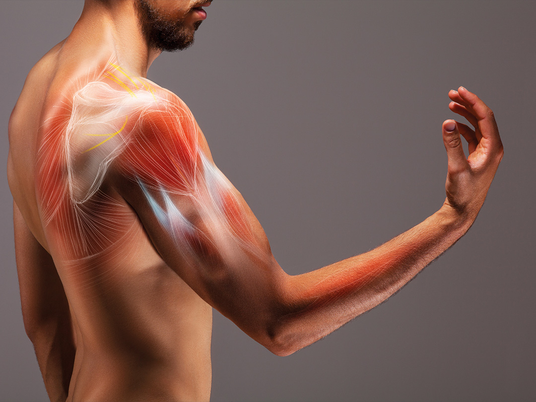 Image of a man with anatomy fascia showing raising his arm