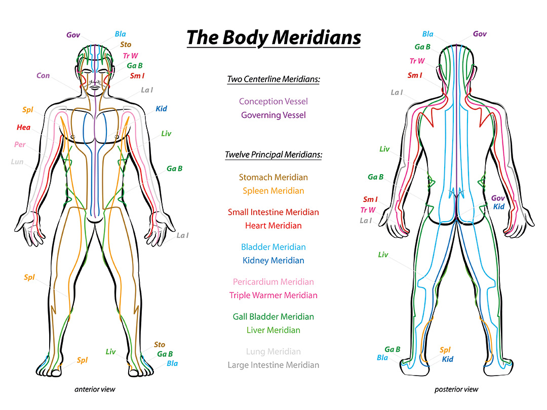Diagram of the meridians