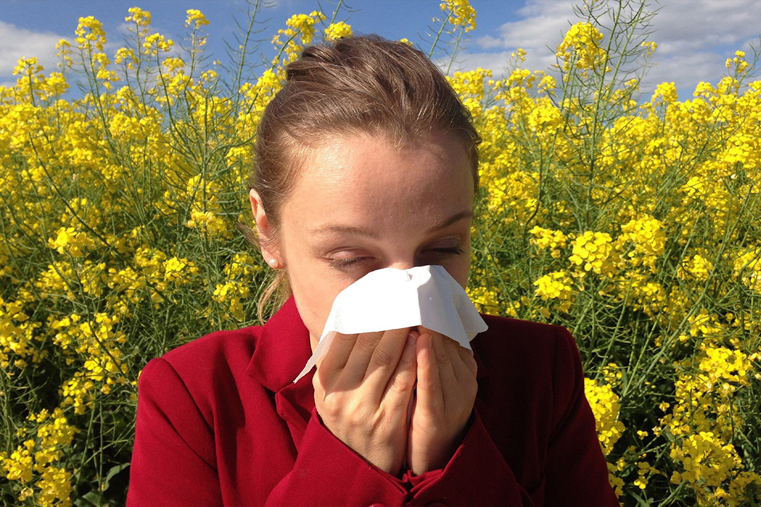 Allergies 3 Woman sneezing in a field of flowers